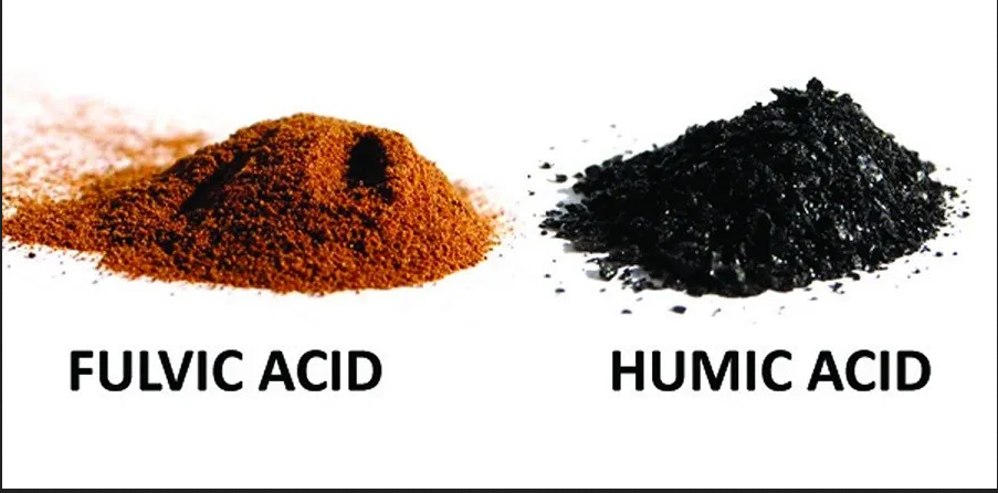 What have you heard of Humic and Fulvic?