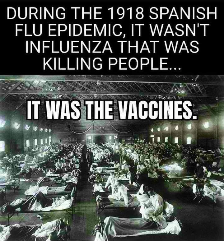 THE 1918 INFLUENZA EPIDEMIC WAS A VACCINE-CAUSED DISEASE
